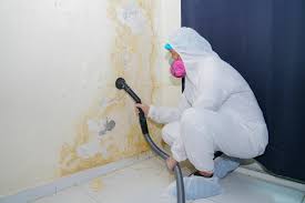 Best Water Damage & Mold Remediation  in Cloverdale, CA